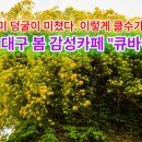 카페큐 - 성동구 왕십리로 222 | 카페큐