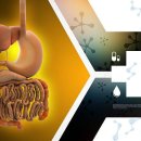 🍊 오크라 효능 🍊 이미지