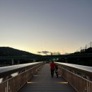 기흥호수공원 | 기흥호수공원 순환산책로 산책 후기 퇴근 후 친구와 함께한 힐링 타임