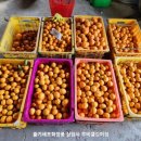 정진수농장 이미지