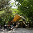 펜션벨뷰캠핑장 | 강원도 평창 계곡 따라 떠난 여름 캠핑, 애견동반 가능한 벨뷰 캠핑장 추천해요!