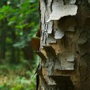 지금여기에 이미지