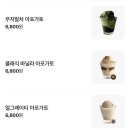 글라쇼 네이버블로그