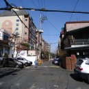 강남-113 이미지