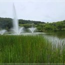 영축산순환산책로(광운대역) 티스토리