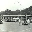 오리초등학교 이미지