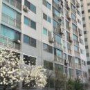 초정마을공인중개사사무소 이미지