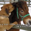 야무