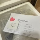 스펀슈가 이미지