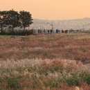 물결커뮤니케이션즈
