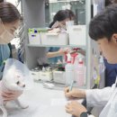 노아메디컬(주) 네이버블로그