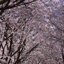 구례북중학교 | 구레 북중