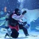 코엑스아쿠아리움 이미지