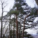 남산(서천분교)초등학교 | 춘천시의 굴봉산 육개봉 검봉산 강선봉(0260314)