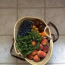 바른굿모닝약국 이미지