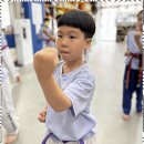 이화 태권도장 이미지