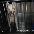 당곡중학교 이미지