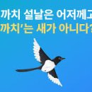 까치 이미지