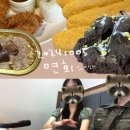 호영목장 | 25사단 군화 첫번째 면회기록 (파주 적성면)