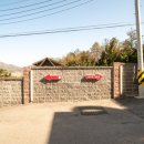 설레임무인텔 이미지