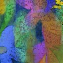 물들어간다는 것은 이미지