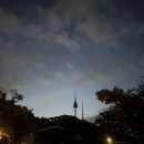 새올공원(기적의도서관 옆) | 남산공원 실시간 아침 일출 가을 단풍 : 안중근의사기념관과 백범김구광장 아침 산책 황금 타이밍