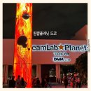 팀랩플래닛 도쿄 후기 일본 가볼만한곳