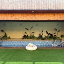 힐스톤애견풀빌라 이미지