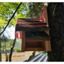 칠서초등학교 이미지