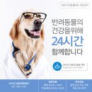 에이치동물메디컬센터 이미지