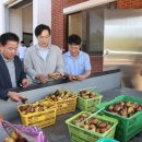 대불하수처리장 이미지