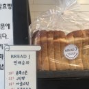 브레디언 이미지