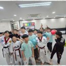 밝은우리태권도장 이미지