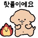 철주네식육식당