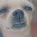 술샘막국수 이미지