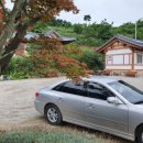 메추리 펜션 이미지