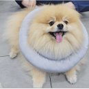 양산동물메디컬센터 이미지