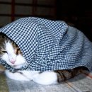 승진세차장 이미지