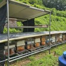 사양농장 이미지