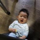 인셀덤 바라기