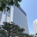 대한소프트 | 피에르 가니에르 서울 런치 후기｜롯데호텔 서울 파인다이닝 부모님 식사 추천