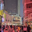 두발로무역 | 광저우 2박 3일- 1일차, 베이징루, 대불사