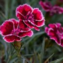 대구요양병원 이미지