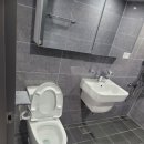 블루시안 이미지