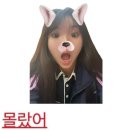시샘달 이미지