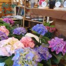 운남서로76번길 이미지