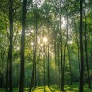 신라스테이플러스 이호테우 이미지