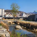 관악산역 | 헬스장 대신 도림천 러닝 시작해본 후기 (관악산역~신림 코스,대학동 운동코스)