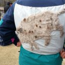 산림놀이 이미지