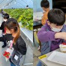 용안농장 이미지